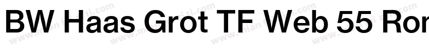 BW Haas Grot TF Web 55 Roman字体转换
